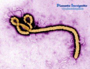 Ebola, Misterio y Ciencia en Planeta Incógnito: Revista web y podcast