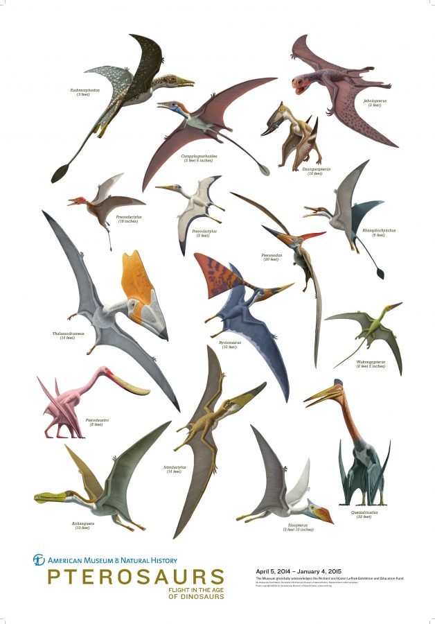 Pterosaurios, Misterio y Ciencia en Planeta Incógnito: Revista web y podcast