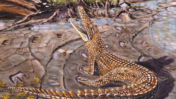 Descubren Donde Vivian Los Cocodrilos Prehistoricos Australianos, Misterio y Ciencia en Planeta Incógnito: Revista web y podcast