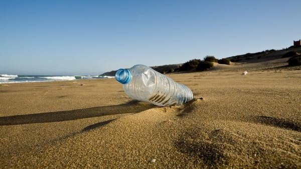 Otro Efecto Nocivo Del Plastico En El Mar Hace Crecer A Las Bacterias Marinas, Misterio y Ciencia en Planeta Incógnito: Revista web y podcast