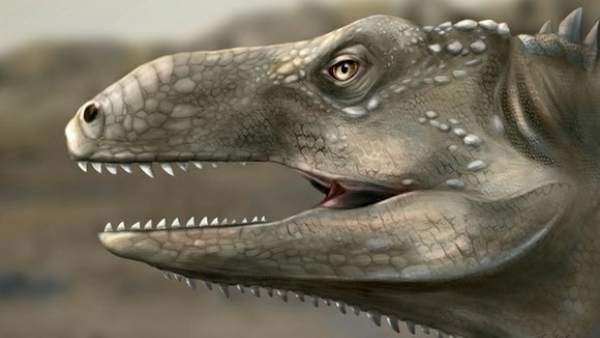 Descubren El Fosil De Un Nuevo Reptil Que Vivio Hace 237 Millones De Anos En Brasil, Misterio y Ciencia en Planeta Incógnito: Revista web y podcast