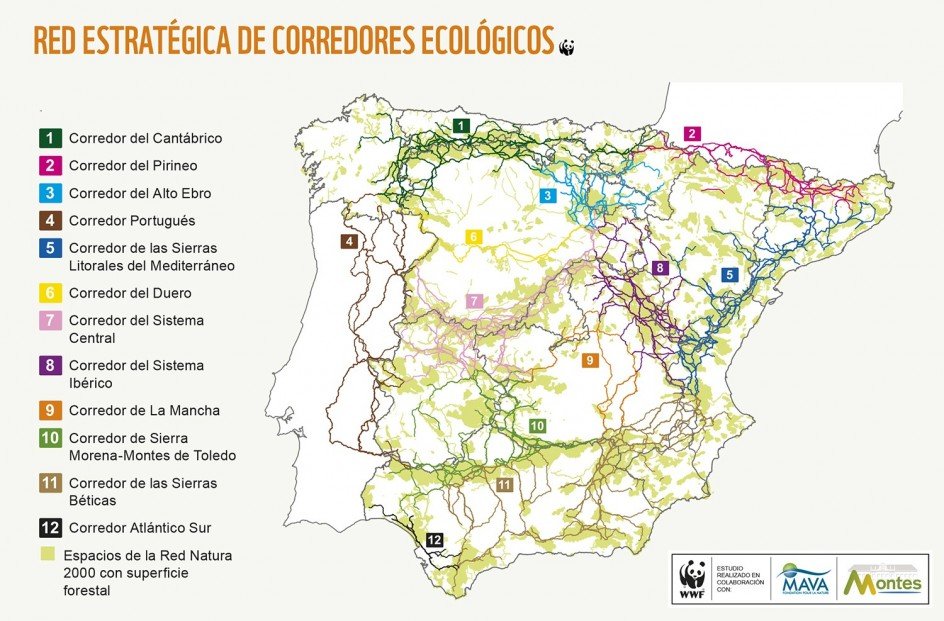 Que Son Los Corredores Ecologicos Y Por Que Son Imprescindibles Para La Fauna 2, Misterio y Ciencia en Planeta Incógnito: Revista web y podcast