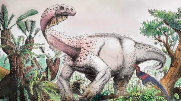 Trueno Gigante Al Amanecer Un Nuevo Dinosaurio De 12 000 Kilos Hallado En Sudafrica, Misterio y Ciencia en Planeta Incógnito: Revista web y podcast