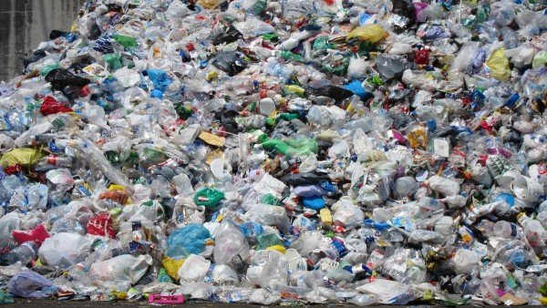 La Eurocamara Prohibe Algunos Plasticos De Un Solo Uso Para El Ano 2021, Misterio y Ciencia en Planeta Incógnito: Revista web y podcast