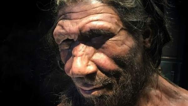 Encuentran En Gibraltar La Segunda Huella De Neandertal En El Mundo, Misterio y Ciencia en Planeta Incógnito: Revista web y podcast