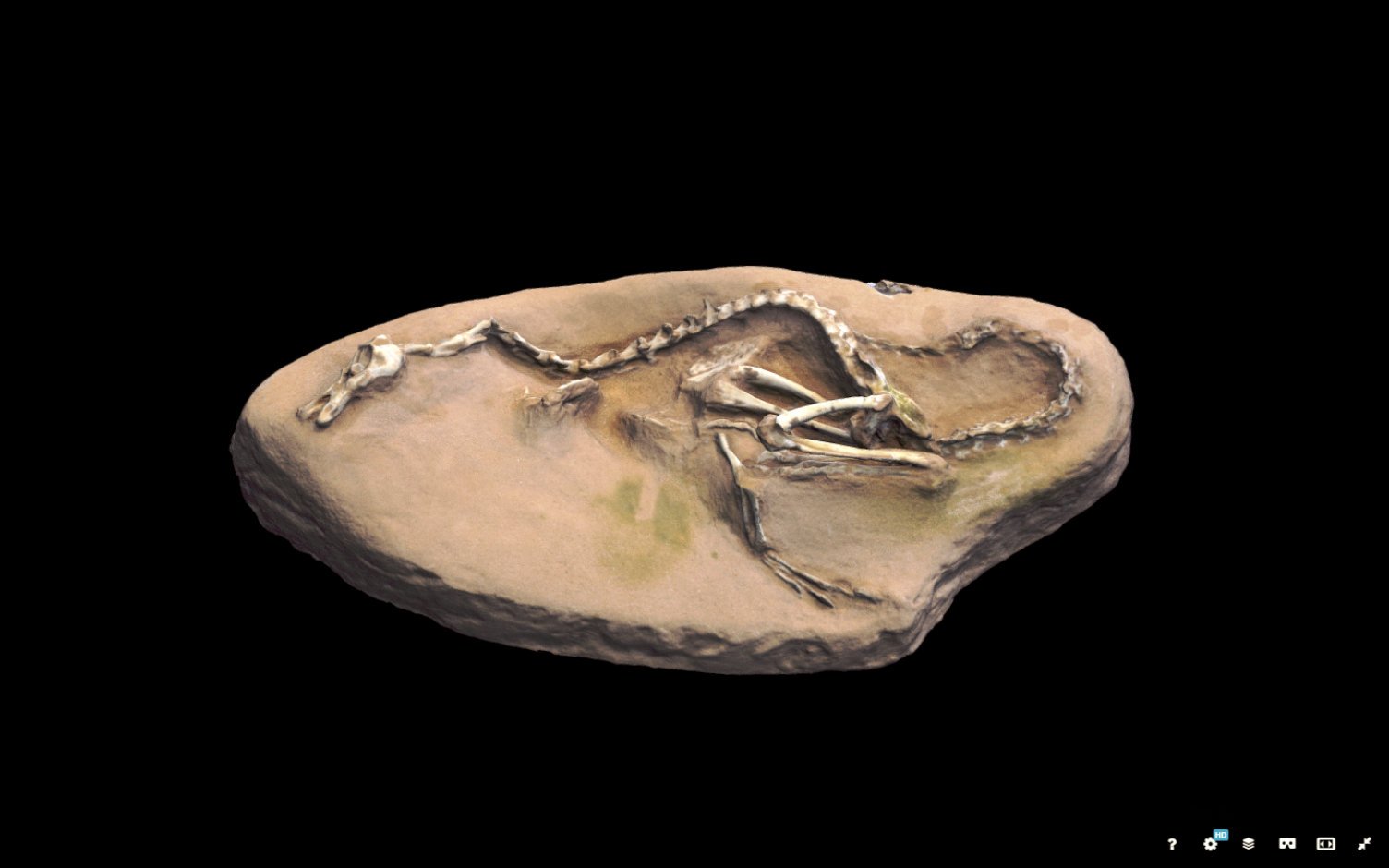 Captura del 3d de Sketchfab de los restos de dinosaurio hallado