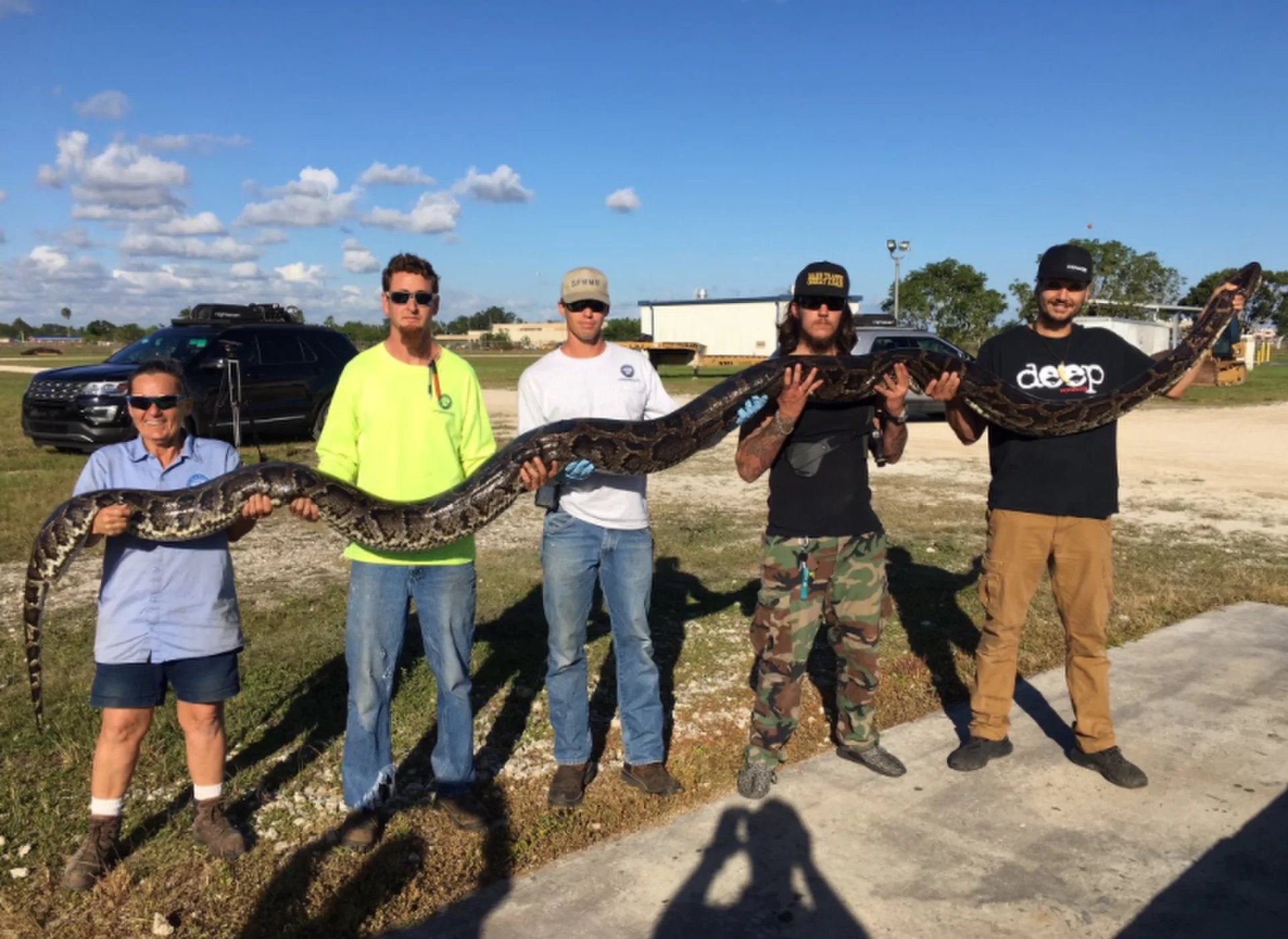 El cazador de pitones Jason Leon (extremo derecho) atrapó una serpiente pitón de más de 5 metros de largo cerca de Big Cypress National Preserve en el sur de Florida. Créditos: SFWMD