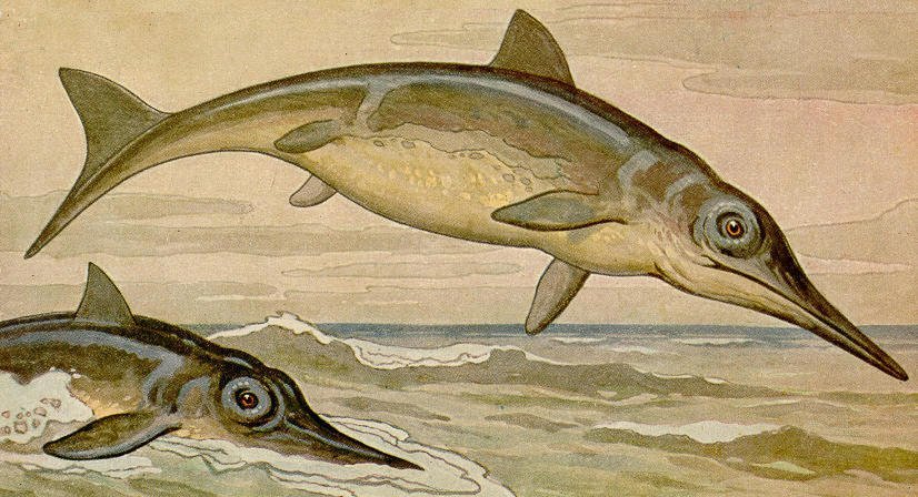 Ichthyosaurus H Harder, Misterio y Ciencia en Planeta Incógnito: Revista web y podcast