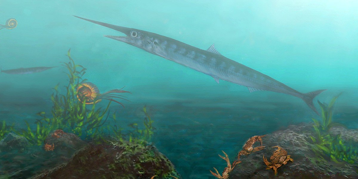 La especie recién descubierta, llamada Candelarhynchus padillai, habitó las aguas de lo que hoy es Colombia hace unos 90 millones de años. (Imagen: Oksana Vernygora)