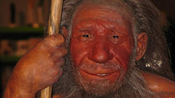 Los Neandertales Ya Realizaban Practicas Medicas Que Fueron Cruciales Para Su Supervivencia, Planeta Incógnito