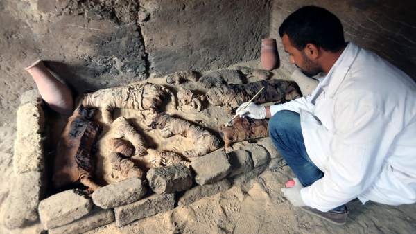 Egipto Anuncia El Descubrimiento De Decenas De Momias De Animales Y Estatuas, Planeta Incógnito