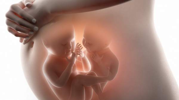 El Cientifico Chino Que Ha Modificado El Adn De Dos Bebes Anuncia Que Hay Mas Posibles Embarazos, Planeta Incógnito
