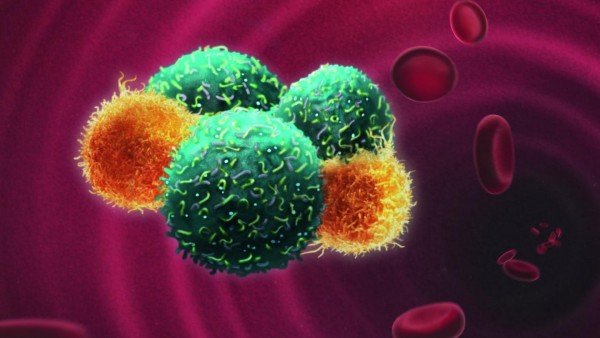 Nanoparticulas De Oro Mejoraran La Terapia De Los Pacientes De Leucemia, Planeta Incógnito