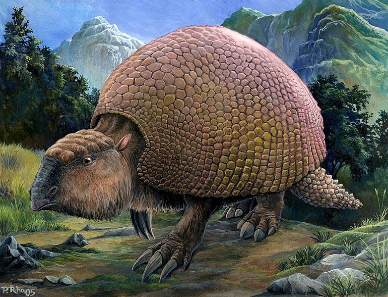 782px Glyptodon Riha2000, Misterio y Ciencia en Planeta Incógnito: Revista web y podcast